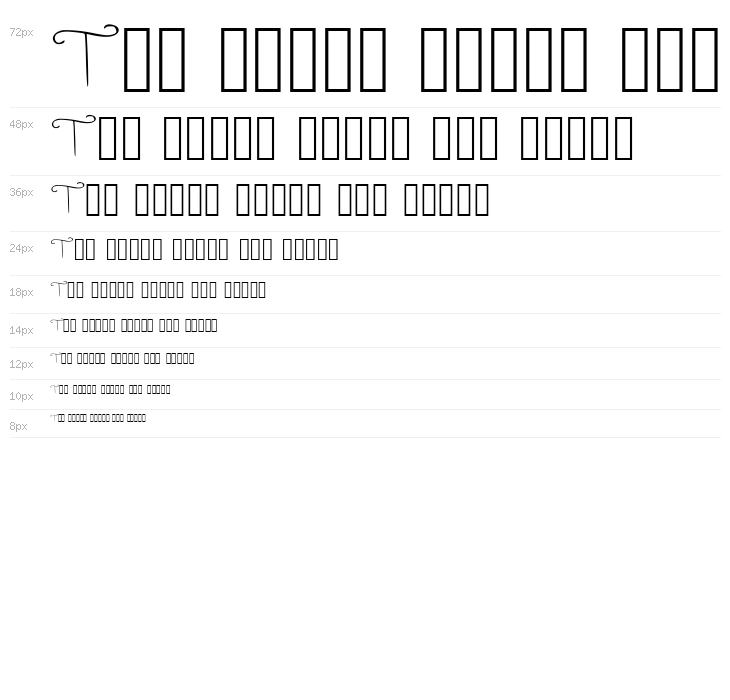 Shrimp FancyCaps Medium Waterfall