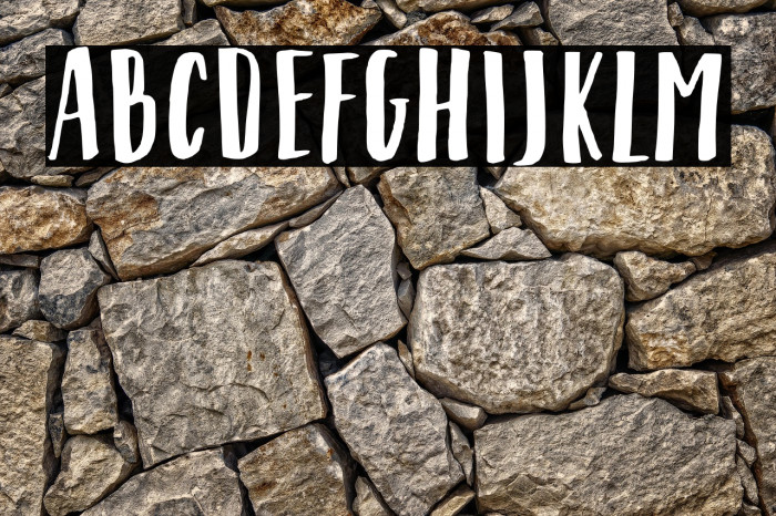 Shrimp Nuggets Example 1