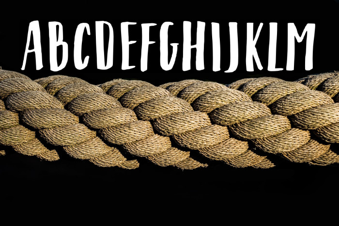 Shrimp Nuggets Example 2