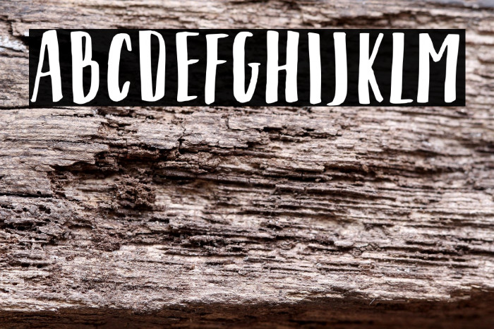 Shrimp Nuggets Example 3