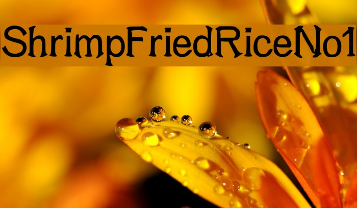 ShrimpFriedRiceNo1 Font examples