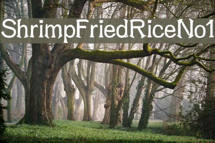 ShrimpFriedRiceNo1 Font examples