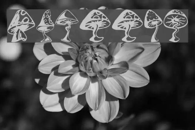 Shrooms Font examples