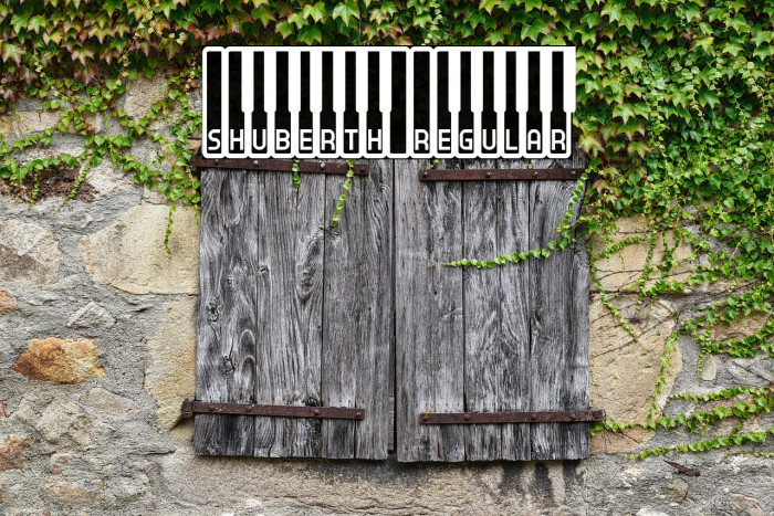 Shuberth Regular Example 1