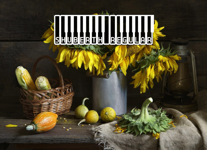 Shuberth Regular Example 2