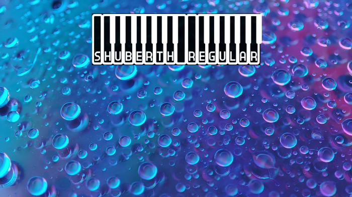 Shuberth Regular Example 3