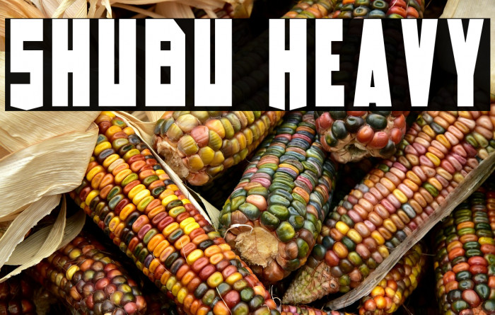 Shubu Heavy Example 1