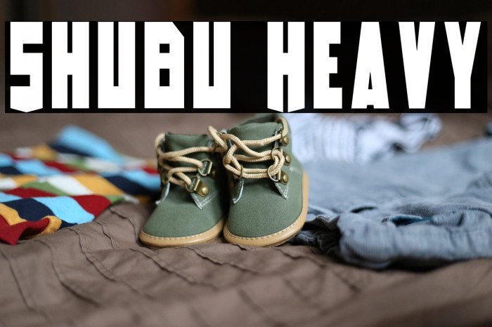 Shubu Heavy Example 2