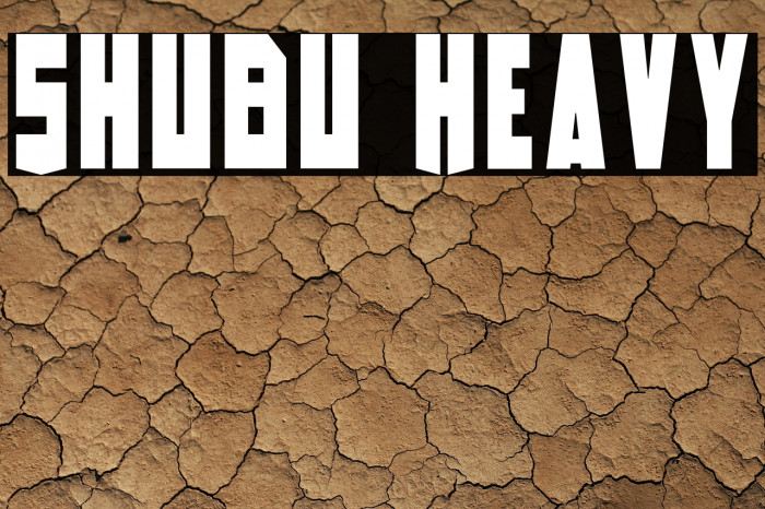 Shubu Heavy Example 3