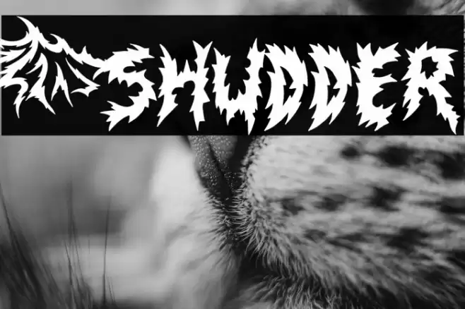 Shudder Fonte examples