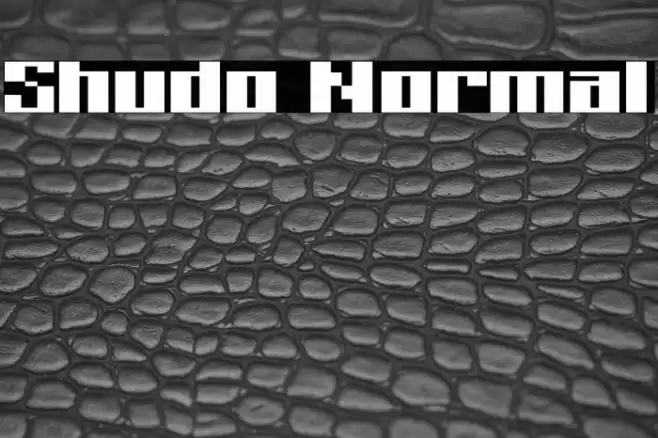 Shudo Normal Font examples