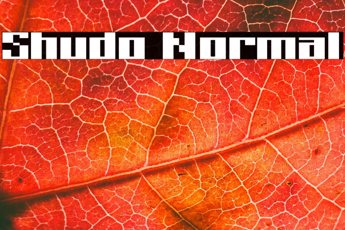 Shudo Normal Example 2