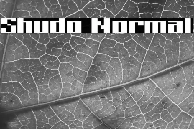 Shudo Normal Font examples