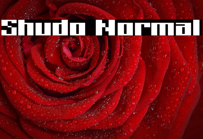 Shudo Normal Example 3