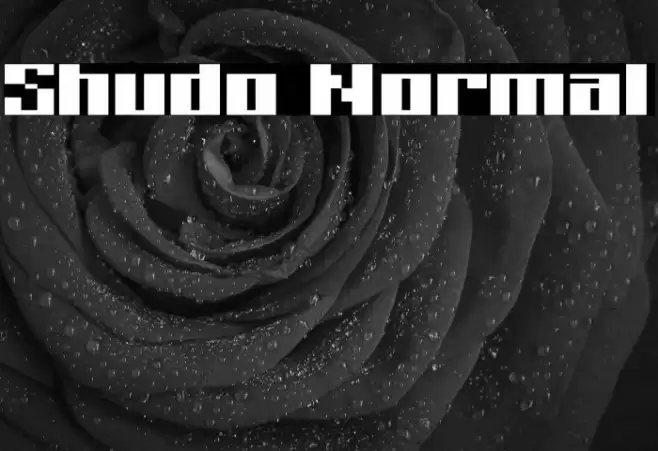 Shudo Normal Font examples