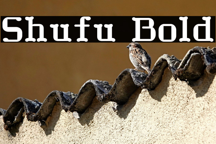 Shufu Bold Example 2