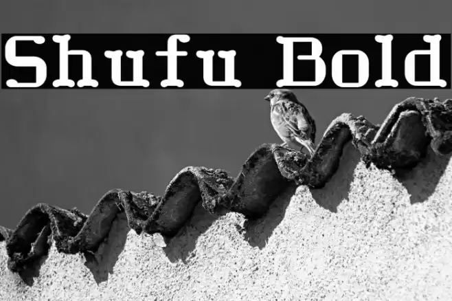 Shufu Bold Font examples