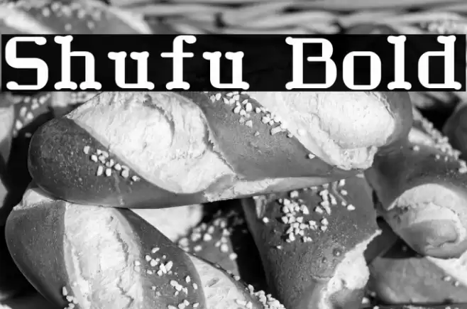 Shufu Bold Font examples