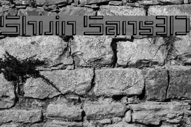 Shuin Sans3D Font examples