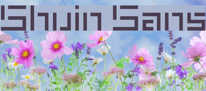 Shuin Sans Example 1