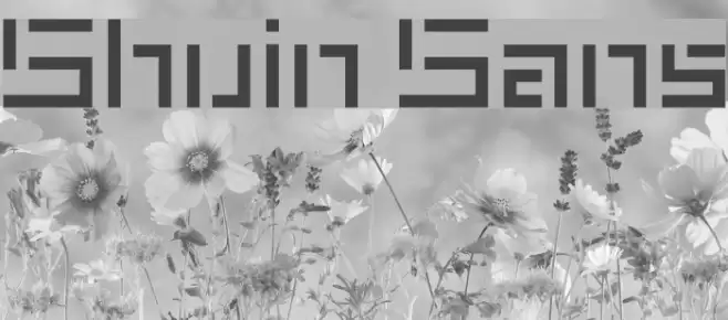 Shuin Sans Font examples