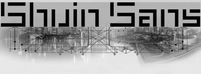 Shuin Sans Font examples