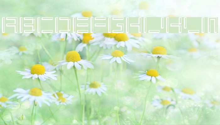 ShuinSans3D Font examples