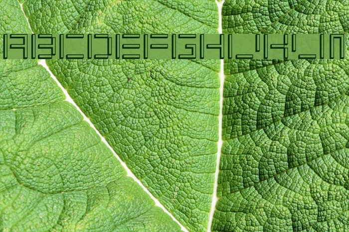 ShuinSans3D Font examples