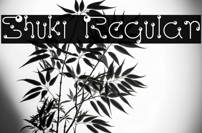 Shuki Regular Example 1