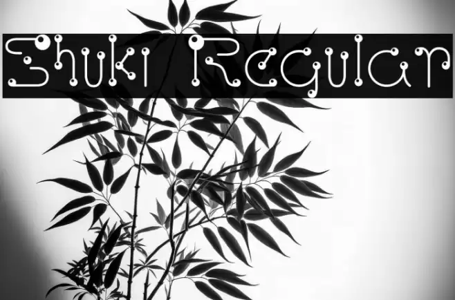 Shuki Regular خط examples