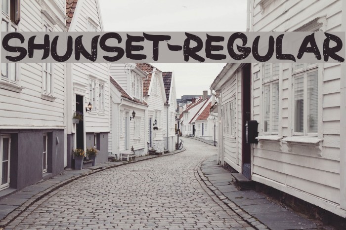 ShunSet-Regular Font examples