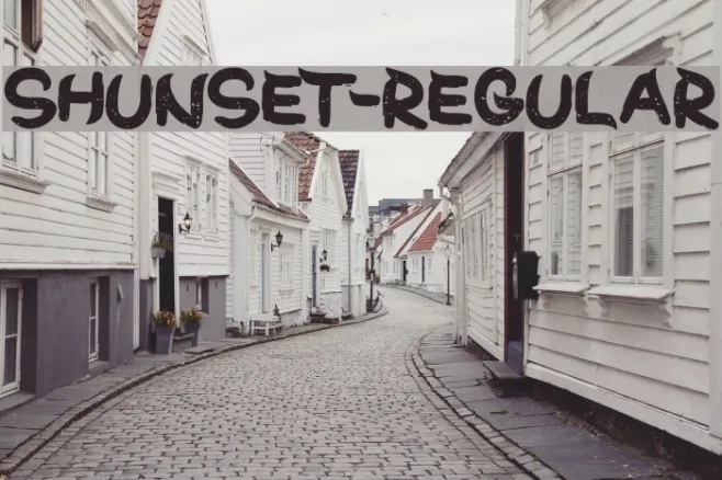 ShunSet-Regular Example 1