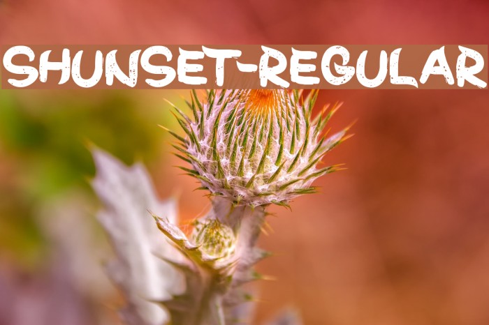 ShunSet-Regular Font examples