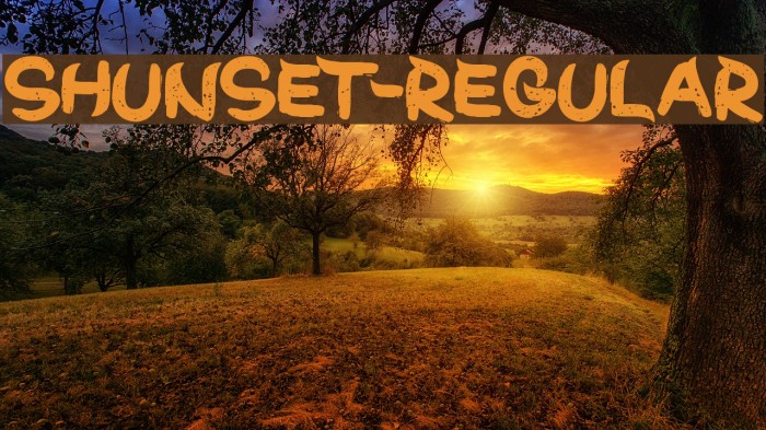 ShunSet-Regular Font examples