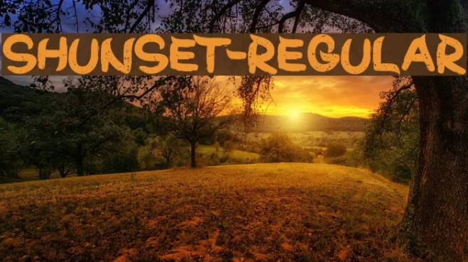 ShunSet-Regular Example 3