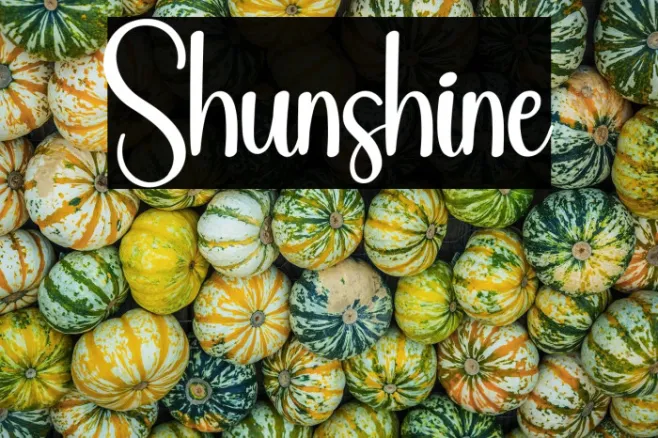 Shunshine Example 1