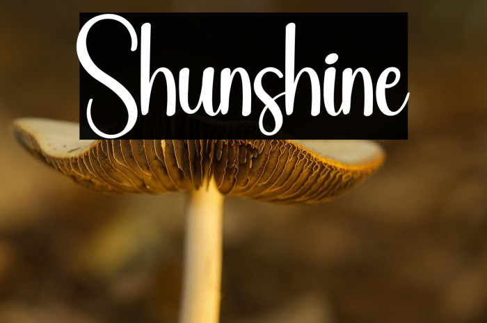 Shunshine Example 2