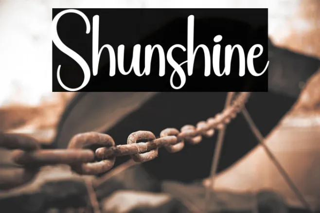Shunshine Example 3