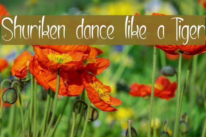 Shuriken dance like a Tiger Font examples