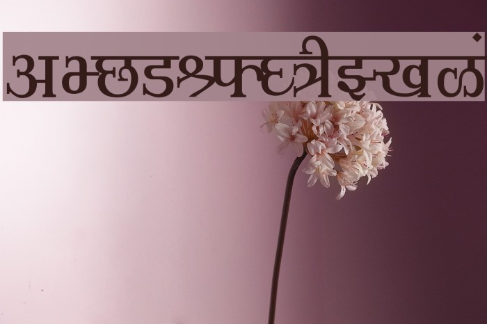 Shusha02 Шрифта examples