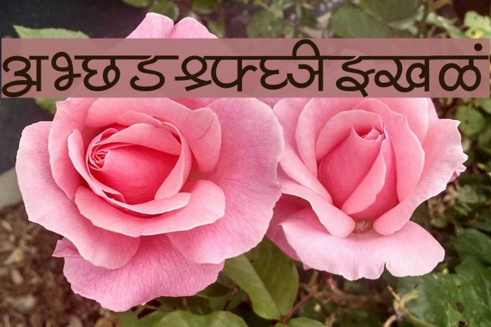 Shusha05 Font examples