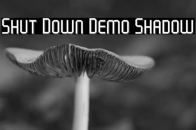 Shut Down Demo Shadow Font examples