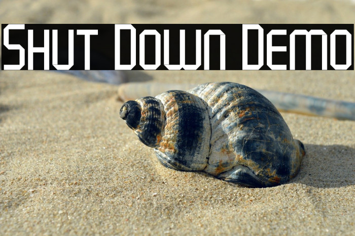 Shut Down Demo Example 2