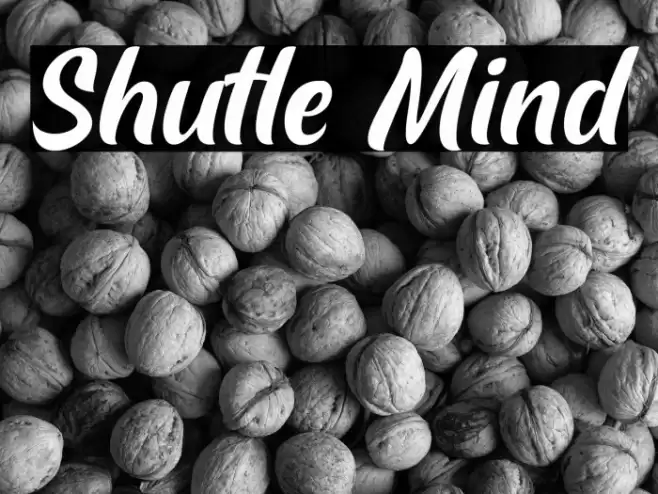 Shutle Mind Font examples