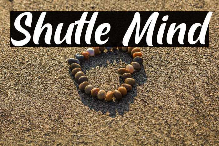 Shutle Mind Example 2