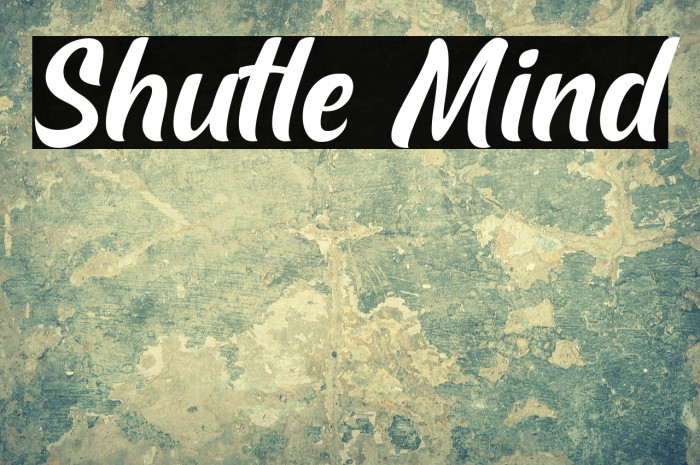 Shutle Mind Example 3