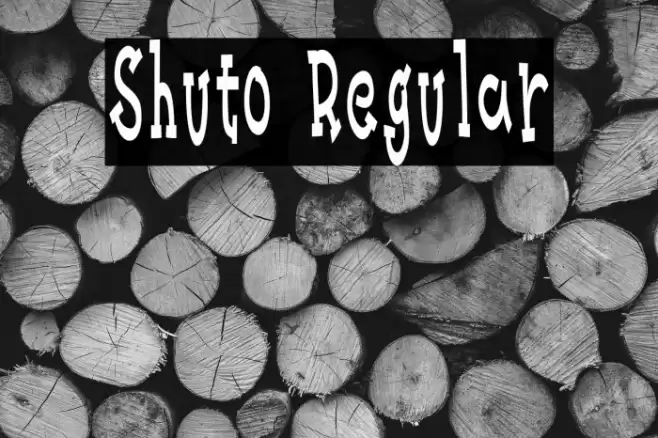 Shuto Regular Fonte examples