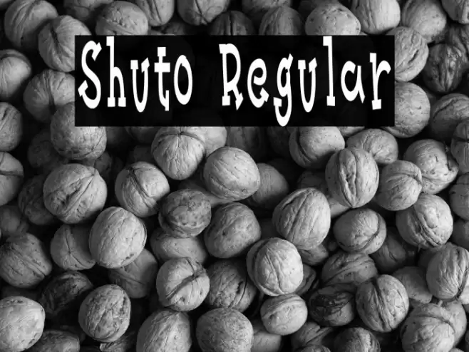 Shuto Regular Fonte examples