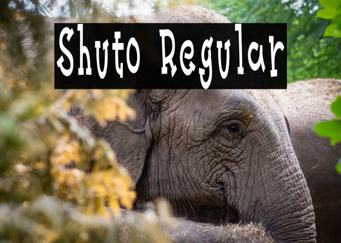 Shuto Regular Example 3