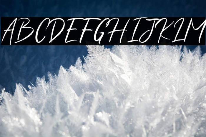 ShuttenReasonFree Example 2